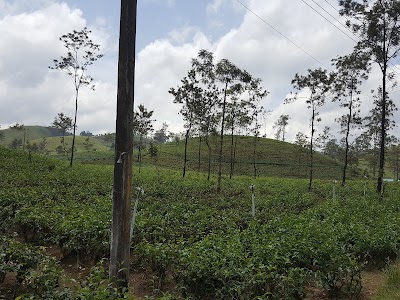 Photos of Lanka Filling Station Kotagala