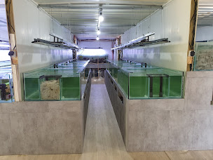 Photo n°12 de Le Monde de la Mer à Aubergenville (Magasin de poissons tropicaux)