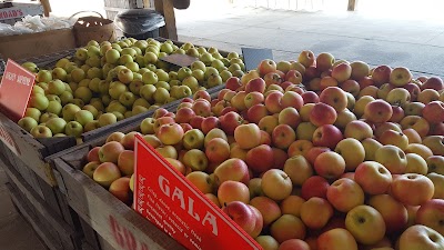 Photos of Grandad's Apples