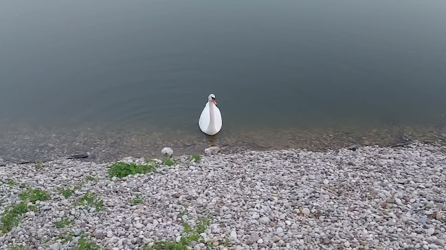 Komentari i recenzije Jezero Kipišće