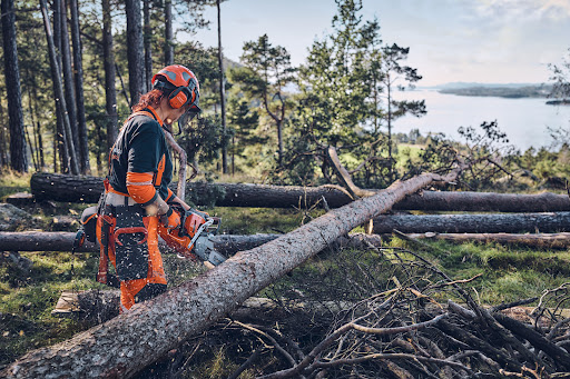 Comercial Iglesias Husqvarna Tordoia - Thumbnail