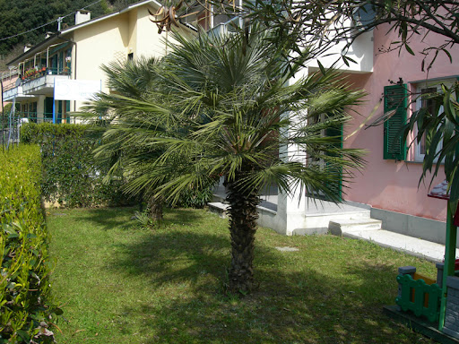 B&B Cinque Terre da Levanto