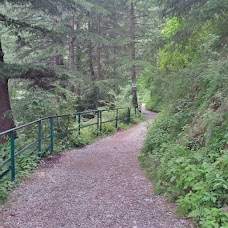 Pine Track nathia-gali