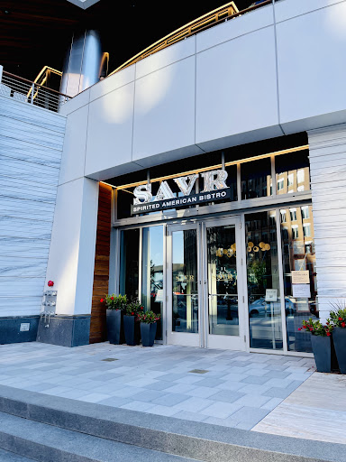 SAVR - Visual