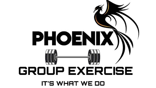 Phoenix Group Exercise - Visual