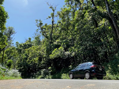 Maui Car Rental