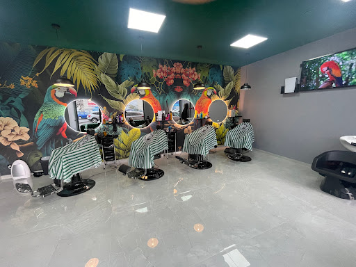 Mister Barber - Thumbnail