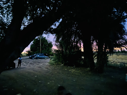 Manguito - Visual