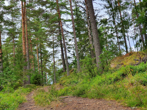 Bjänleden - Visual
