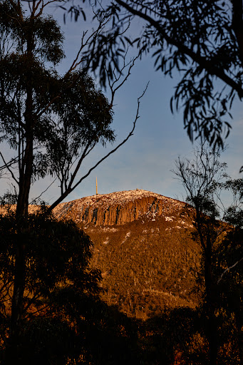 Harrison Agents Hobart