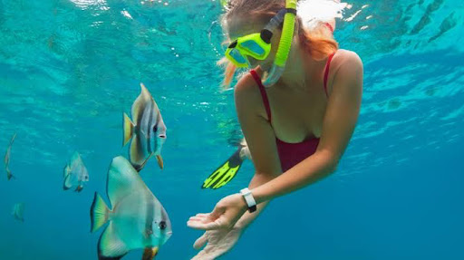 Bliss Diving & Snorkeling Adventures