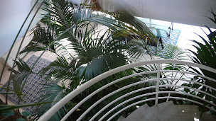 Photo n°12 de Cabinet AFC Architectes à Bordeaux (Expert immobilier)