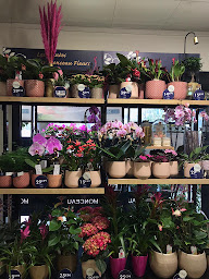 Photo n°26 de Monceau Fleurs à Fontaine (Boutique de cadeaux)