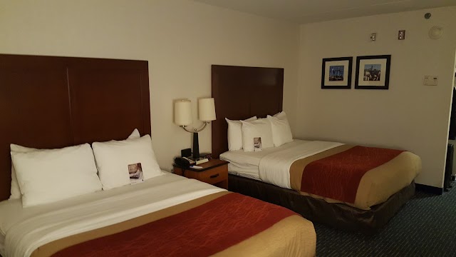Comfort Inn & Suites Logan International Airport