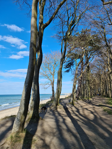Rostock Hundestrand - Thumbnail