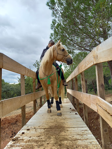 Equestrian Center Pleine Nature - Thumbnail