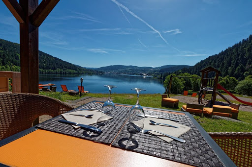 Photo de Camping Les Granges Bas à Gérardmer : piscine chauffée, mobilhomes et hébergements insolites à Gérardmer (88400)