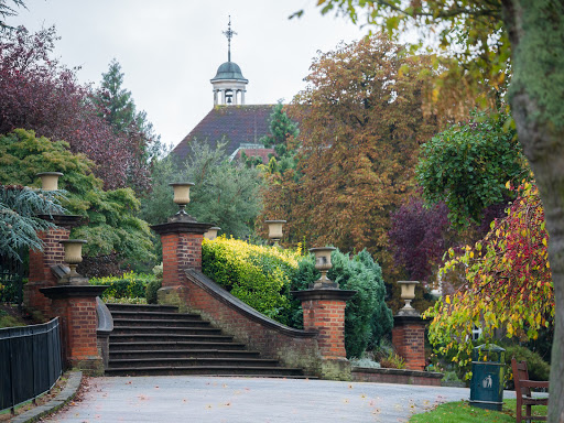 Park Lane Primary School Gallery - United Kingdom
