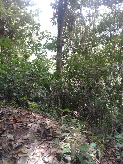 Photos of Salto el Rosario