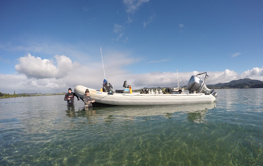 New Zealand Diving - Thumbnail