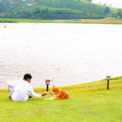 Photos of Sri Jayewardanapura Animal Hospital