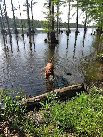 Horseshoe Lake-Alexander