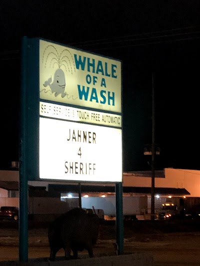 Whale of A Wash