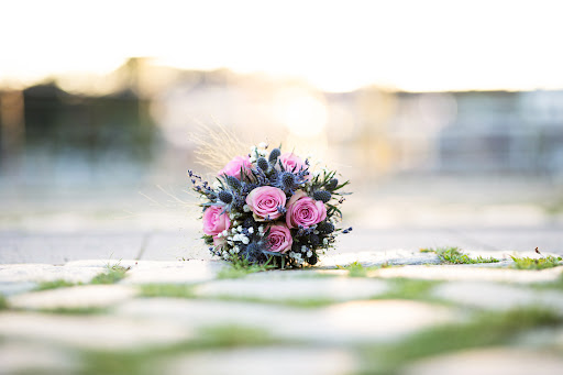 Blumen Hackländer - Visual