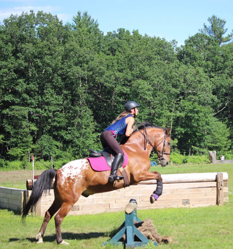Power and Stride Equestrian Center - Thumbnail