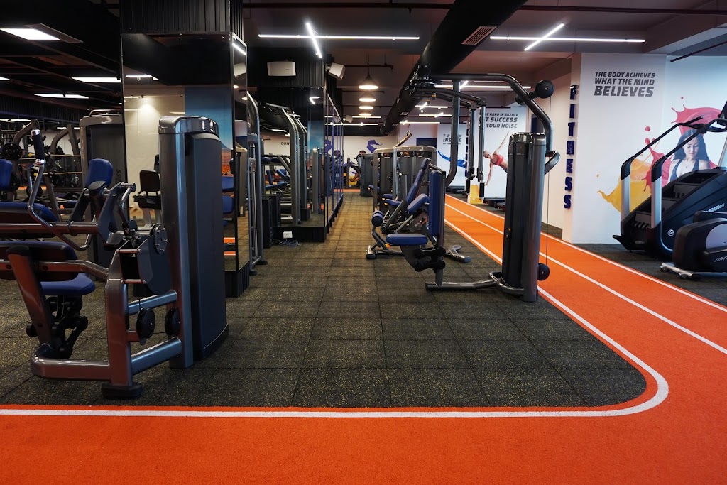 Muscle Monkey Health And Fitness Club