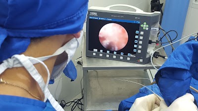 Photos of Veterinary Hospital GB