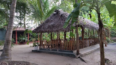 Photos of Coconut Park Tourist Rest