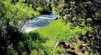 Pole Bridge Campground