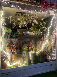 Photo n°43 de Patchouli à Pagny-sur-Moselle (Service de plantes d'intérieur)