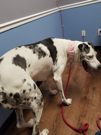 Leland Veterinary Hospital - Thumbnail