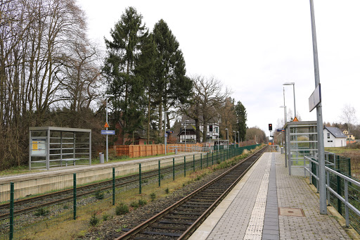 Meckenheim Kottenforst - Thumbnail