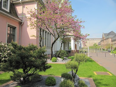 Photos of Kasino Hotel