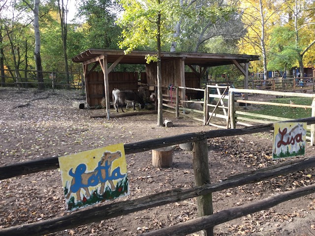 Kinderbauernhof auf dem Görlitzer e.V.