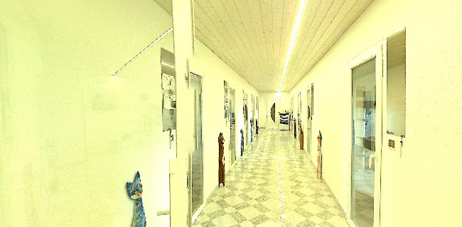 A3-Tierferienplatz - Hundeschule