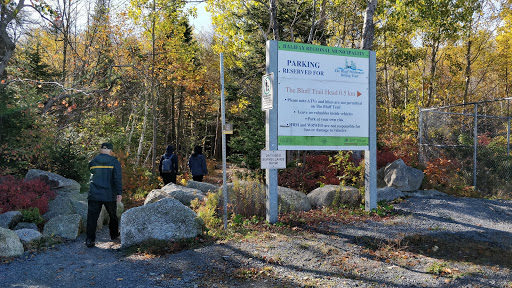 The Bluff Wilderness Hiking Trail (parking lot) - Thumbnail