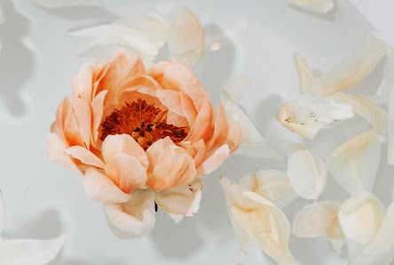 Bonita Beauty Salon | Eibelstadt - Eibelstadt