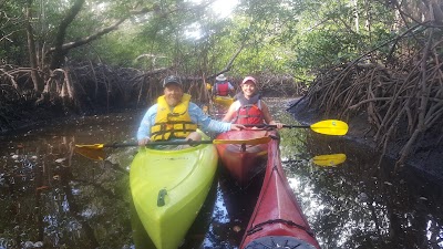 Photos of Naples Kayak Company