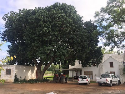 Photos of Addo's White House