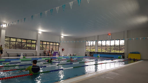 Aquatic Achievers Wavell Heights Swim School Logo