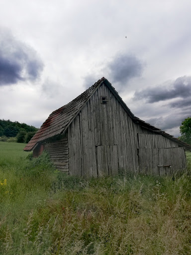 Rohrköppel - Visual