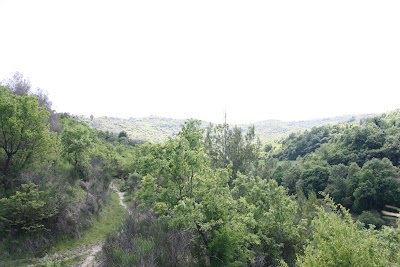 park