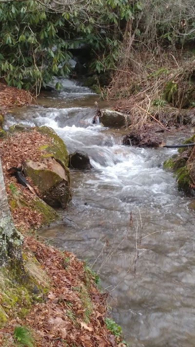 Panther Creek Cabins