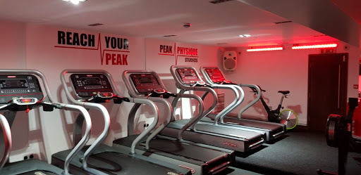 Peak Physique Studios - Visual
