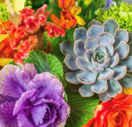Westport Floral Designs
