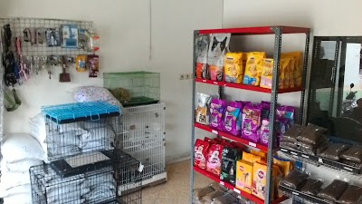 Photos of Fluffy Animal Clinic Pets